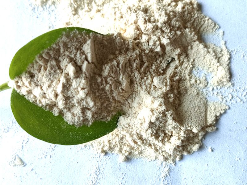 除油菌