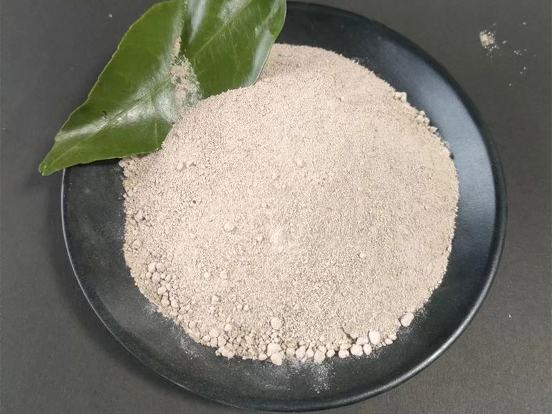 硝化菌
